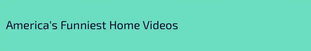 America's Funniest Home Videos